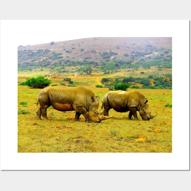 African Wildlife Photography Rhino Couple Wall Art by PathblazerStudios